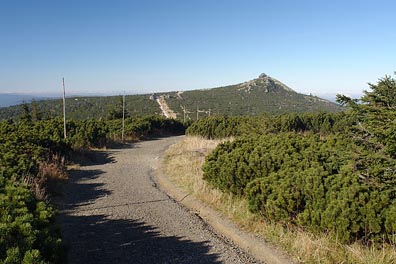 cesta, Szrenica