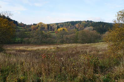 údolí Kosího potoka nad Michalovými horami