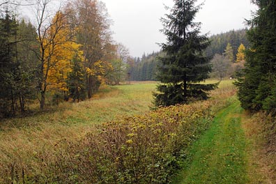 údolí Kosího potoka nad Křínovem