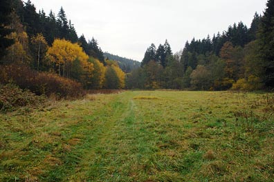 údolí Kosího potoka u Křínova