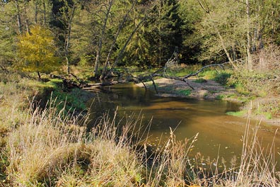 Kosí potok nad Třebelem