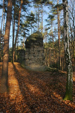 skála v lese