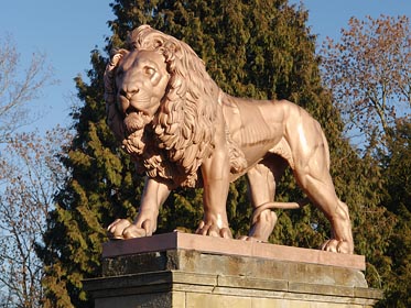 lev u zámku Zbiroh