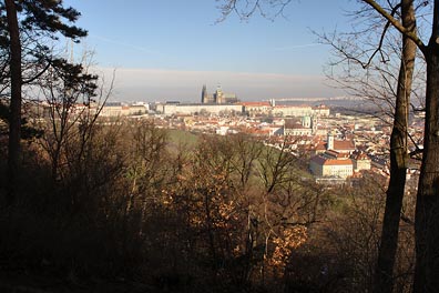 pohled na Pražský hrad z Petřína