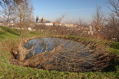 pohled na Pražský hrad z Petřína, jezírko