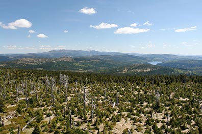 pohled na Krkonoše, v. n. Souš z Jizery