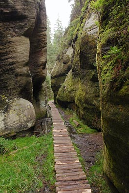 cesta ve Vlčí rokli, skály