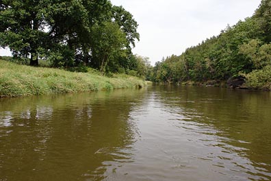 Berounka pod papírnou