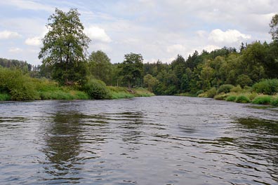 Berounka pod Dolanama