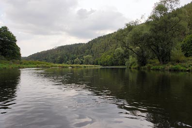 Berounka pod Darovou