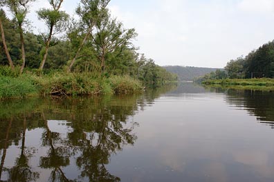 Berounka nad Žikovským mlýnem