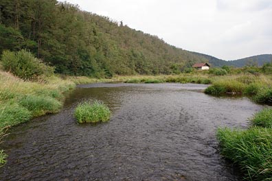 Berounka pod Žikovským mlýnem