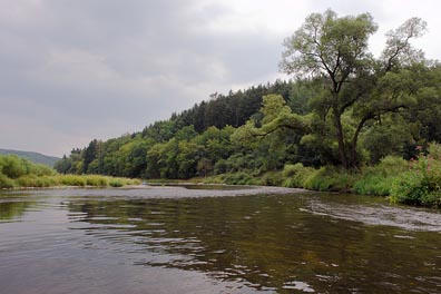 Berounka pod Krašovem