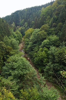 údolí Jizery nad Podspálovem
