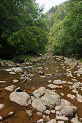 Jizera nad Podspálovem