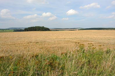 krajina u Toužimi