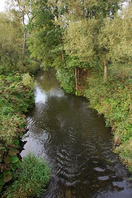 Střela pod Žluticema