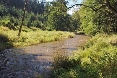 Střela pod Rabštejnem