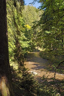 Střela pod Rabštejnem, údolí