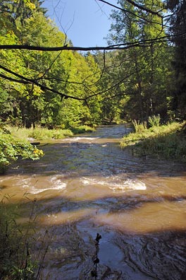 Střela pod Rabštejnem