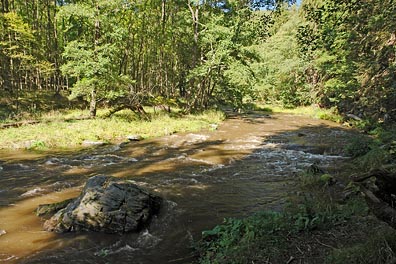 Střela pod Rabštejnem