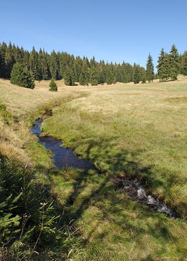 Rolava nad Rolavou