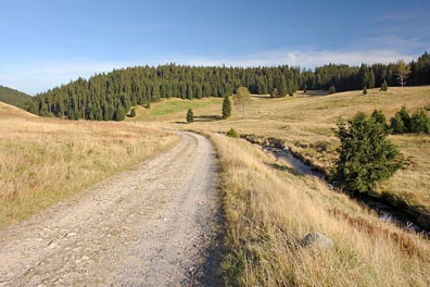 cesta, údolí Rolavy pod Chaloupkama