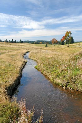 Černá nad Myslivnama