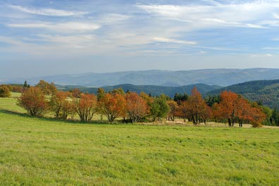 zbarvené stromy, pohled na Doupovské hory