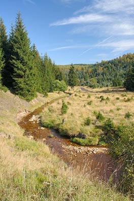 Telčský potok