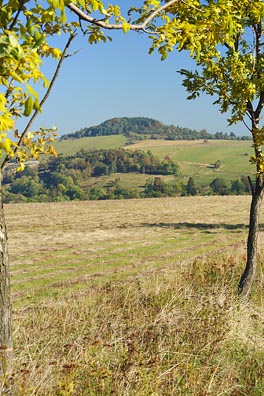 Špičák