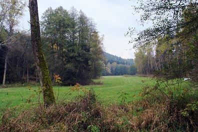 údolí Úterského potoka nad Šipínem