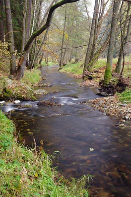 Úterský potok u Pakoslavi