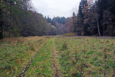 údolí Úterského potoka pod Hlaváčkovým mlýnem