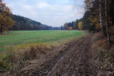 údolí Úterského potoka nad Starým mlýnem