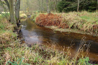 Úterský potok