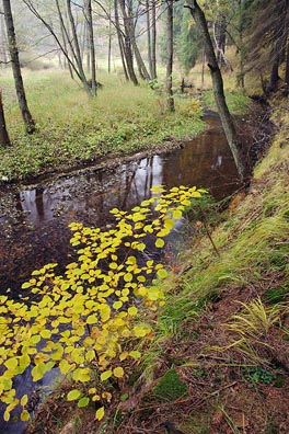 Úterský potok