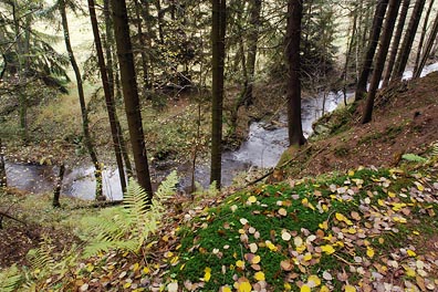 les, Úterský potok 18 4