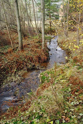 Úterský potok