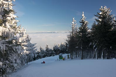 sjezdovka, les, Krkonoše