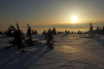 slunce, sníh, stromky od Na Rozcestí