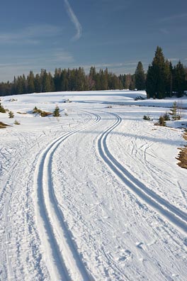 lyžařská cesta