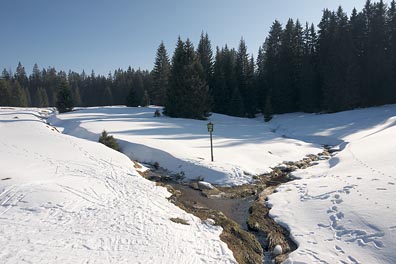 Losenice na Zlaté Studně