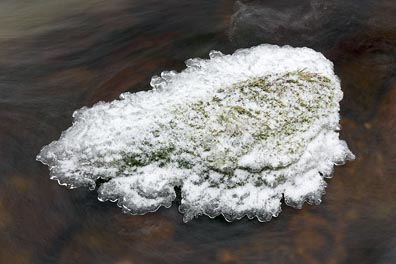 omrzlý kámen v Hamerském potoce