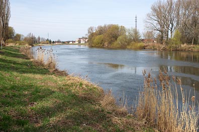 Labe pod Čelákovicema