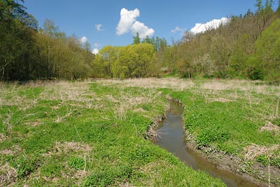 Černý potok, údolí u Nouzova