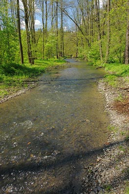 Loděnice pod Podkozím