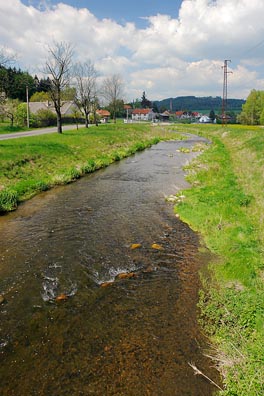 Litavka nad Čeňkovem