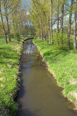 Kamenice u Nové Včelnice