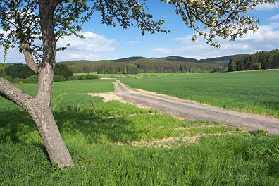 krajina u Krejžlic